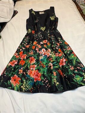 I. Madeline Spring Floral & Flare Dress with Red, Pink & Green Blooms Size 2